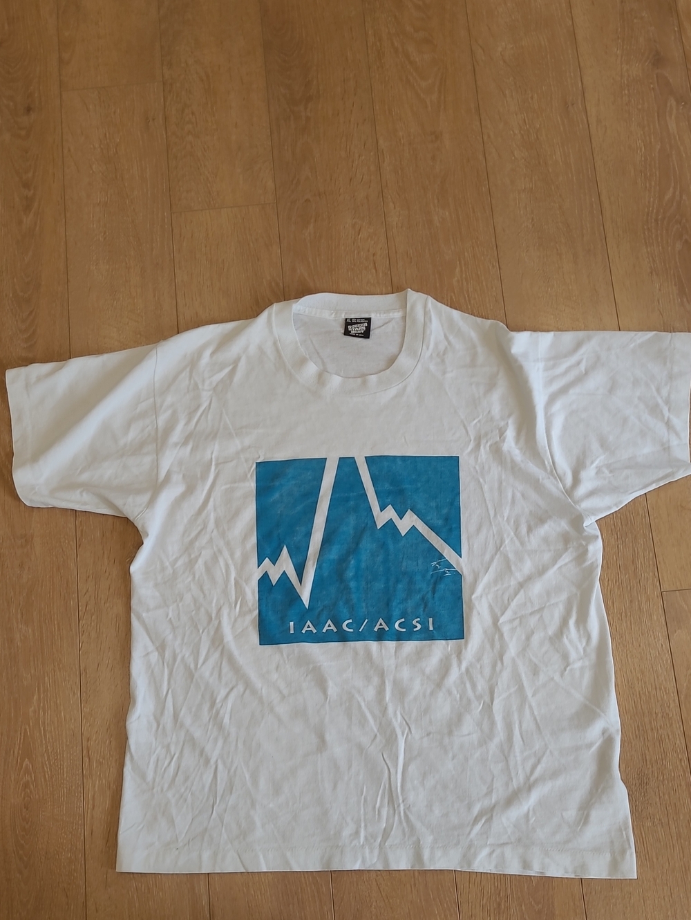 80's/90's Screen Stars Best White Tee with Blue Mountain Square Graphic Made USA